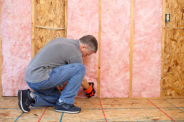 Best Local Insulation Services  in West Jordan, UT